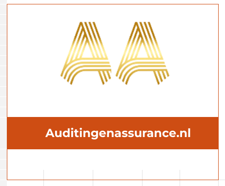 auditingenassurance
